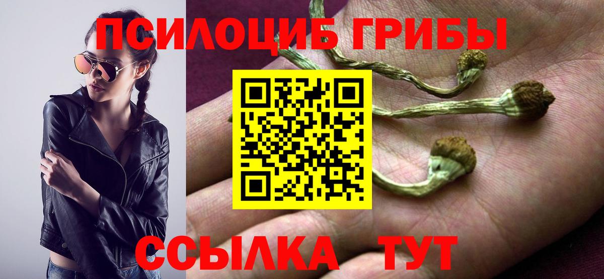 Псилоцибиновые грибы прущие грибы Холмск