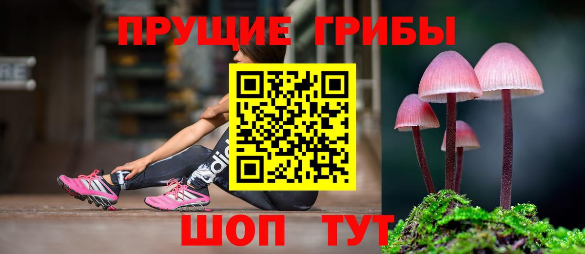 Галлюциногенные грибы MAGIC MUSHROOMS  Вход с VPN  Галлюциногенные грибы мухоморы  Холмск 